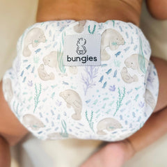 Respect the Locals Cloth Diaper with Inserts - Bungies Diapers