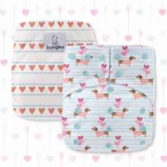 Monthly Bungies Exclusive Cloth Diaper Subscription
